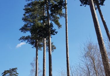 Tour Wandern Villers-Cotterêts - Abbaye, fontaine en forêt  - Photo