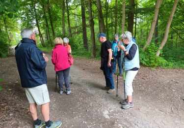 Tocht Stappen Jalhay - Tiege - Photo