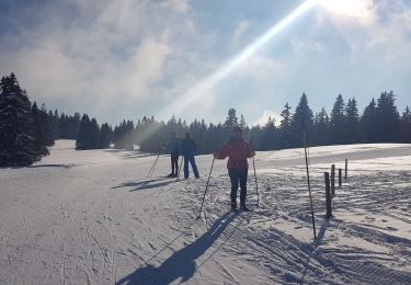 Randonnée Ski de fond Mijoux - petite grand - Photo