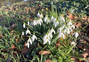 Tour Wandern Gerpinnes - Sortie fin d’hiver  - Photo