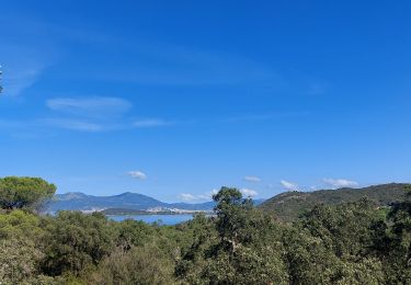 Excursión Senderismo Pietrosella - rando du pénitencier  - Photo