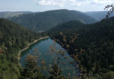 Tocht Stappen La Bresse - 22 juillet - Photo