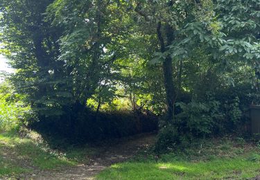 Tocht Stappen Guipavas - Chemin creux des trognes - Photo