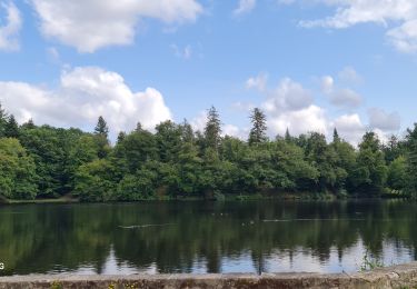 Tour Wandern Nieul - Nieul - Photo