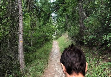 Trail Walking Uvernet-Fours - Le Clos du Serre - Photo