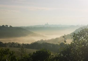 Tocht Mountainbike Rodez - Rodez Agglomeration - Circuit 5 - Les abeilles  - Photo