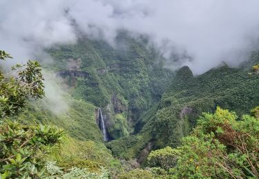 Tour Wandern Salazie - Jour 8 Trou de fer - Photo