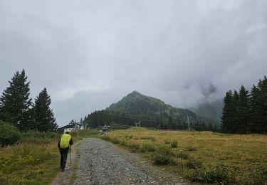 Excursión Senderismo Saint-Gervais-les-Bains - J8 - Grand Balcon Nord : Prarion - Bellevue - Photo