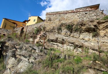 Trail On foot Capolona - IT-47 - Photo