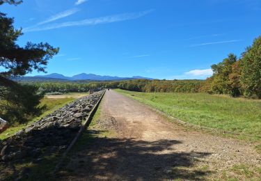 Tocht Stappen Montbel - Barage lac de Monbel - Photo