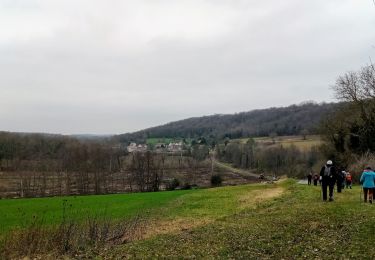 Tour Wandern Bouresches - Bouresches du 03-02-2022 - Photo