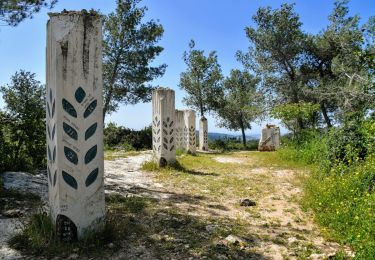 Trail On foot Mate Yehuda Regional Council - The Jeeps road - Photo