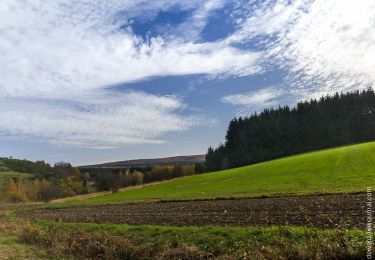 Tocht Te voet Schillingen - Schillinger Panoramaweg - Photo
