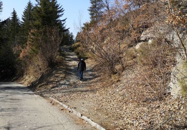 Trail Nordic walking Arbaz - bisse d'Ayen  - Photo