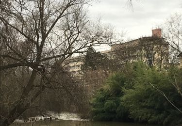 Randonnée Marche Metz - Metz Bords de Seille  - Photo