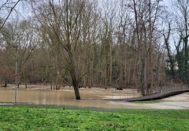 Tour Wandern Yerres - Boucle autour de Yerres via Mandres / Boussy / Epinay - Photo