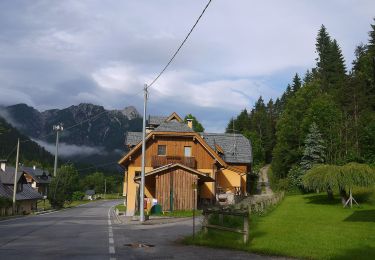 Trail On foot Tarvisio - IT-506 - Photo