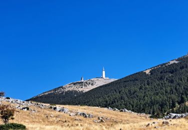 Percorso Marcia Beaumont-du-Ventoux - Mont ventoux par les grands près  - Photo