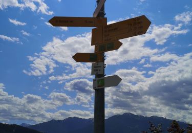 Tour Nordic Walking Ayent - Anzère - Botyre  - Photo