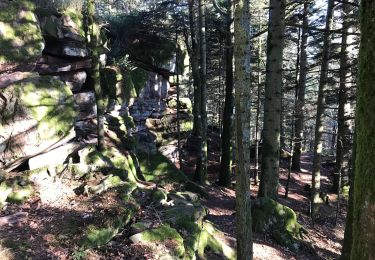 Trail Walking Saint-Dié-des-Vosges - Ormont- 15km - Photo