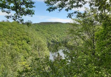 Tour Wandern Hohenfels - Nisramont - Photo