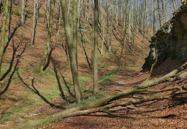 Randonnée A pied Auetal - HO6 - Blutbach-Route - Photo