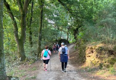 Trail Walking Sarria - 2022 Camino de Santiago 2 - Photo