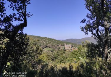 Randonnée Marche Boule-d'Amont - Serrabone - Photo