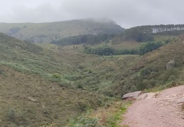 Tour Wandern Ascain - Pyrénées 2 la Rhune  - Photo