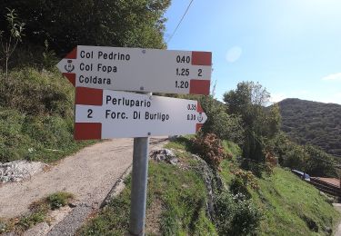 Percorso A piedi Caprino Bergamasco - Sentiero 807: Gronfaleggio - Col Pedrino - Photo