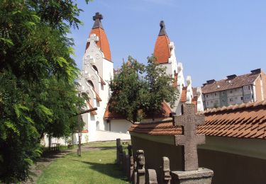 Tour Zu Fuß Szeklerburg - oraș Miercurea Ciuc - Poiana Hirtelen - intersecție traseul BA (creasta principală) - Photo