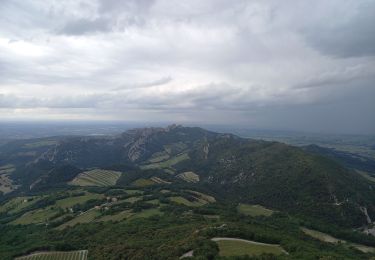 Tocht Stappen Crestet - Crête de St Amand 18.5.24 - Photo