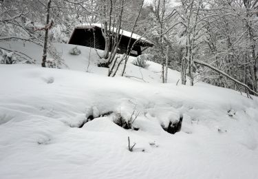Tour Schneeschuhwandern Ventron - 20210124 - Col-Oderen - Christian Forgoutte - Photo