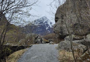 Randonnée Marche  - Briksdal glacier  - Photo