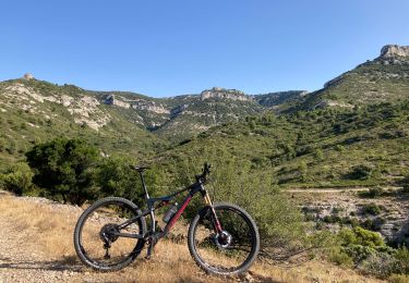 Excursión Bici de montaña Puget - Puget -le Trou du Rat par les singles - Photo