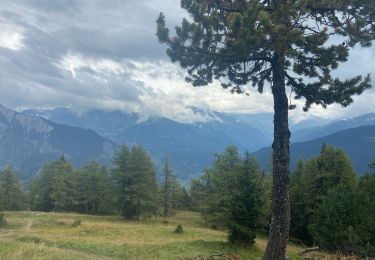 Trail Walking Val de Bagnes - La crevasse  - Photo