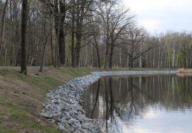 Randonnée A pied Teichland - Rundwanderweg Neuendorfer Teich. - Photo