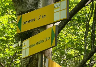 Trail sport Lamastre - Lamastre Montreynaud - Photo