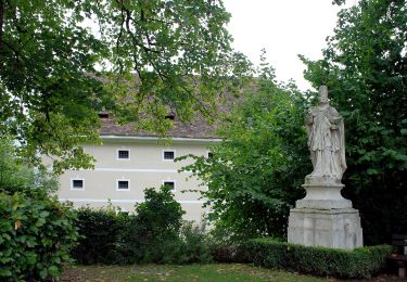 Tour Zu Fuß Sankt Stefan ob Stainz - Rundwanderweg 8 - Photo