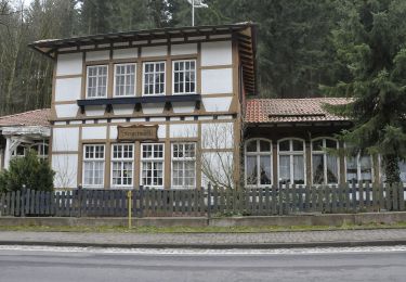 Excursión A pie Friedrichroda - Kleiner Rundwanderweg Finsterbergen - Photo