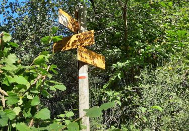 Trail Walking Chanat-la-Mouteyre - chanat route Vulcania,7.5km,155m - Photo