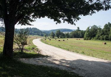 Tour Zu Fuß Ugod - Z+ (Bakonybé)l - Photo