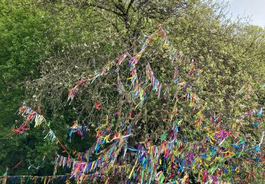 Tocht Stappen Chooz - Balade du banc - Photo