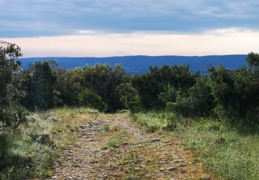 Trail Nordic walking Saint-Ambroix - 15.05.20 piste - Photo