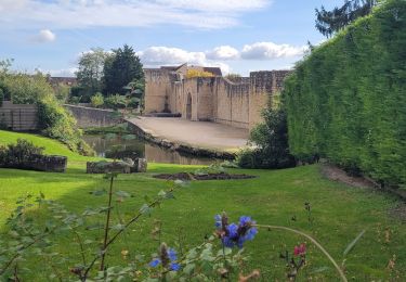 Tour Wandern Brie-Comte-Robert - Boucle autour de Brie Comte Robert 30 km - Photo