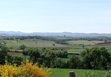 Tour Wandern Lempdes-sur-Allagnon - Lempdes_Allagnon_Amouroux - Photo