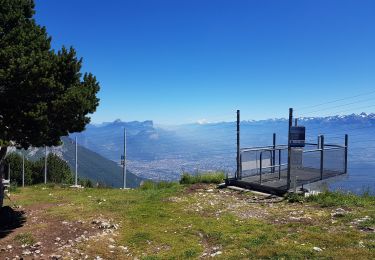 Randonnée Marche nordique Lans-en-Vercors - Le Vertige des Cimes en Marche Nordique - Photo