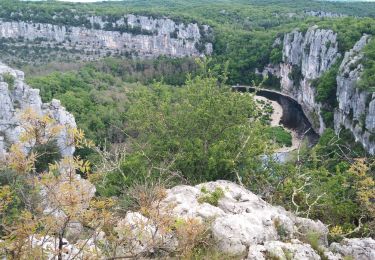 Trail Walking Les Vans - Les Clairières l'ermitage - Photo