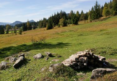 Tocht Te voet Ramsau am Dachstein - Vorbergrundweg - Photo