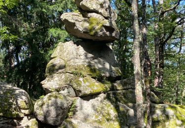 Trail Walking Fayet-le-Château - Ronde des fours  - Photo